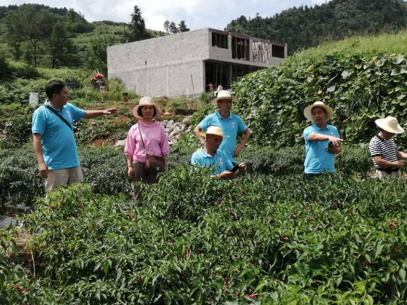 “艷椒435”獲評貴州辣博會“十大潛力品種”